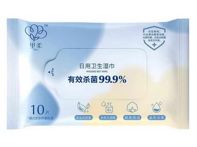 Disinfecting Wet Wipes 10 PCS  180×140 mm